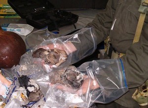 ADDITION-COLOMBIA-US-FETUSES-TRAFFICKING